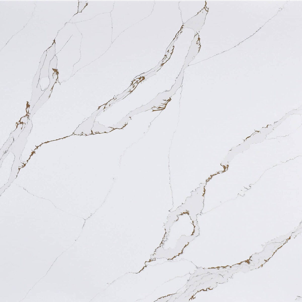 Calacatta Golden Bianco